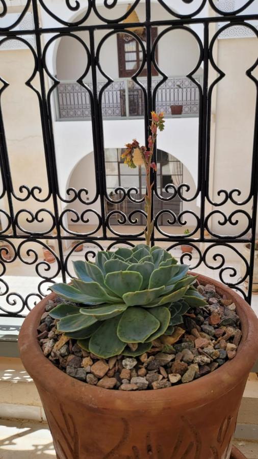 Riad Nohad Marrakech มาร์ราเกช ภายนอก รูปภาพ